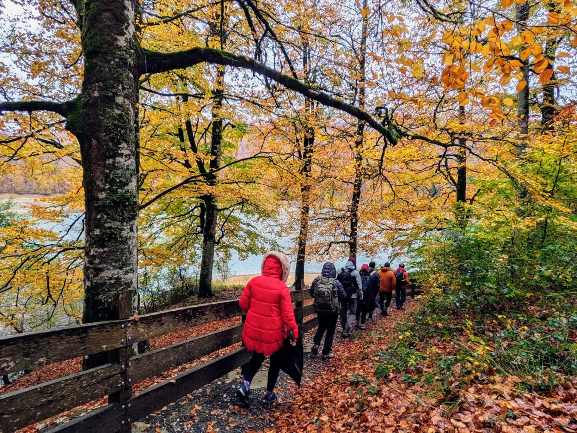 Retiro de meditación y yoga: la acogedora escapada de noviembre