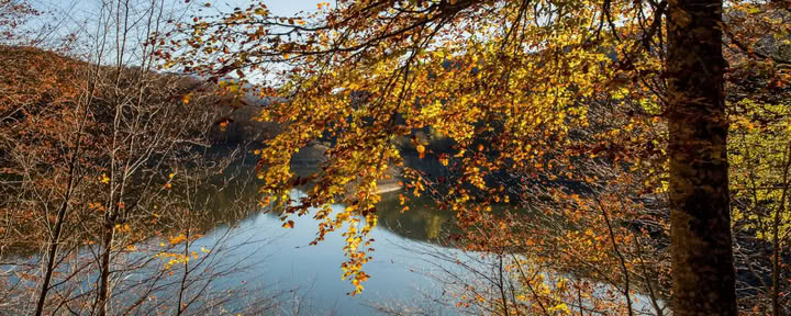 Santuario de yoga y meditación: un retiro de recogimiento en el bosque de Irati