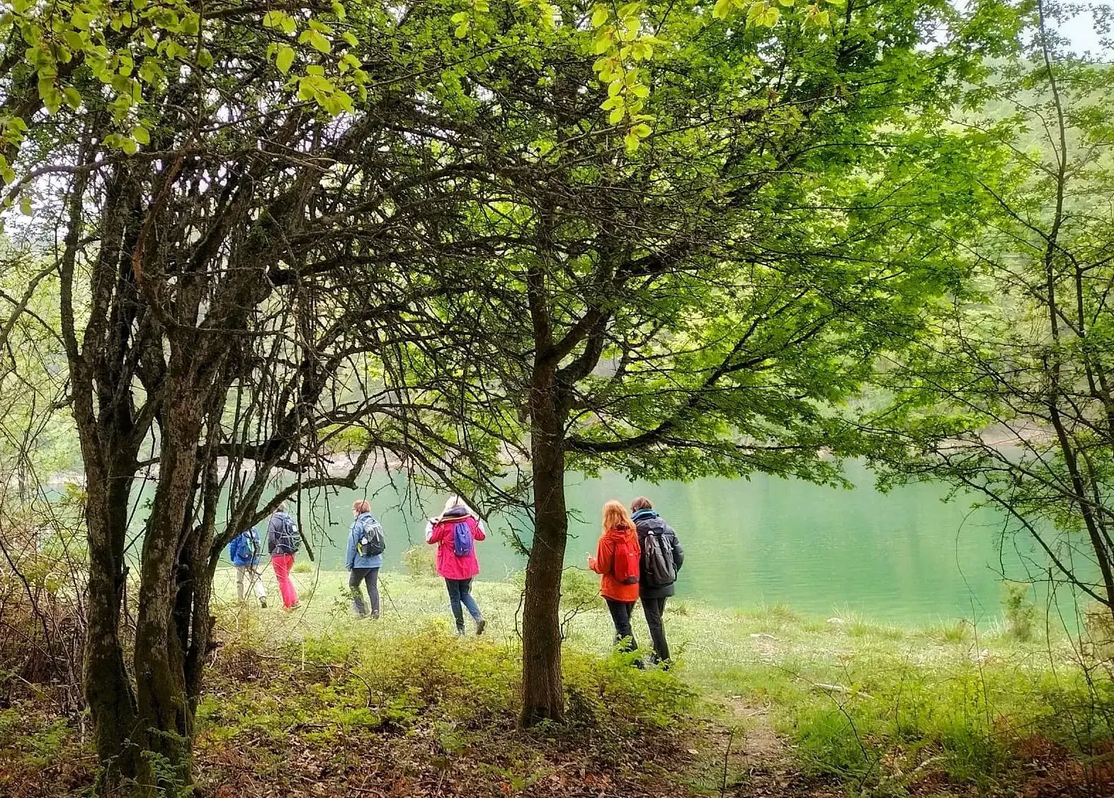 Retiro de yoga de octubre: La experiencia del bosque dorado