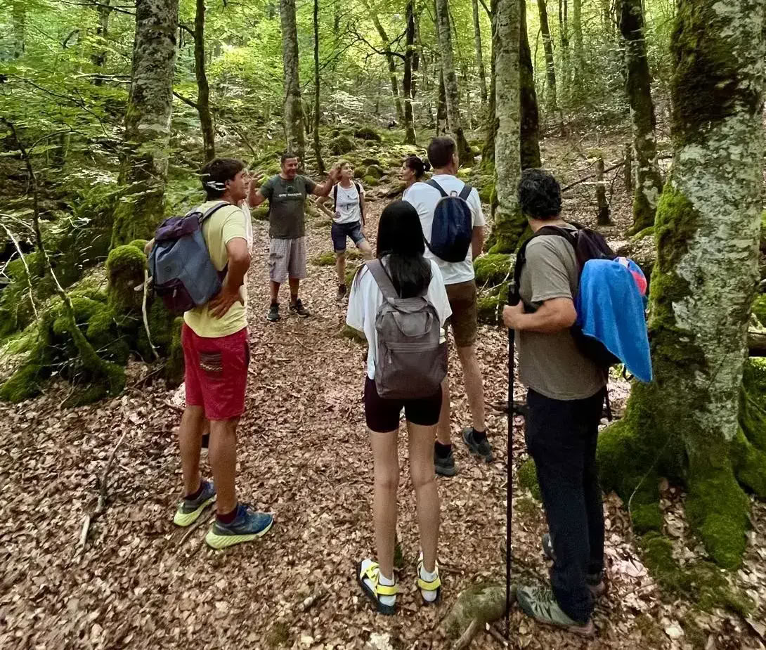 Renueva y Reconecta: Retiro de Yoga y Meditación en los Pirineos
