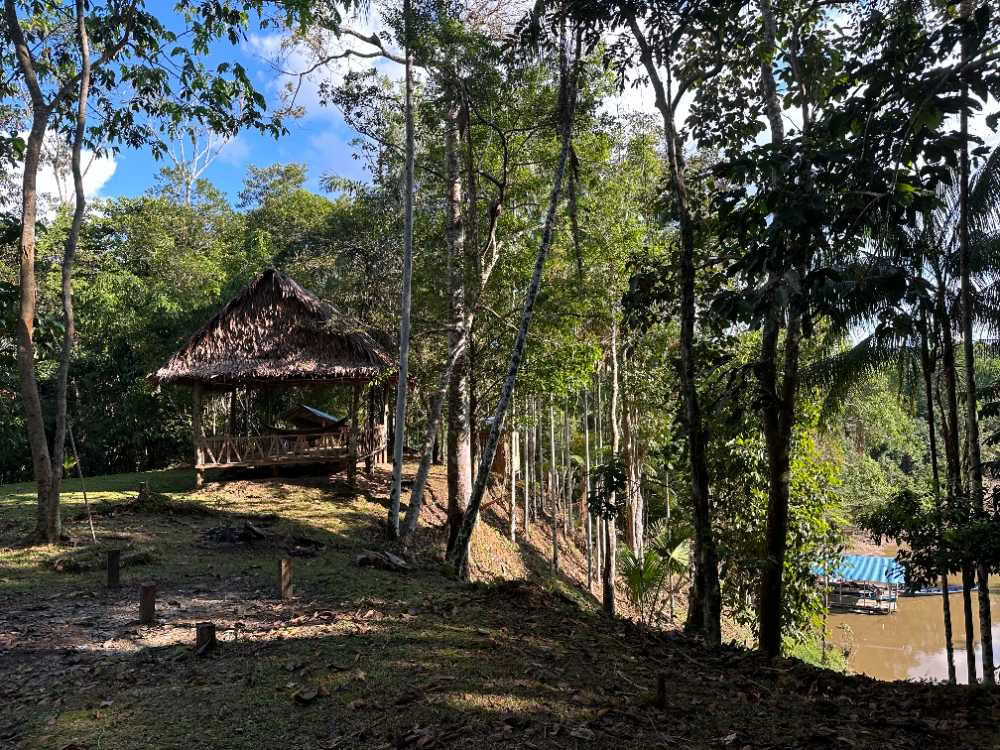 Ceremonia tradicional de ayahuasca