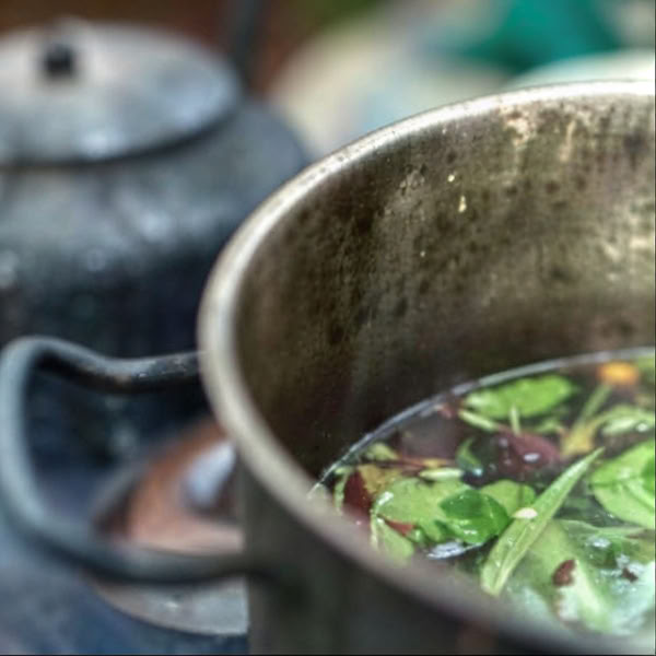 Retiro de Ayahuasca en Iquitos, Perú