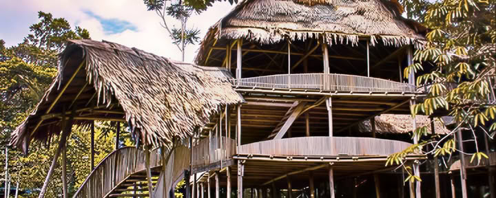 Retiro de Ayahuasca de 9 días