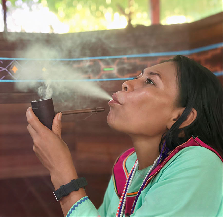 Introducción de 5 días a la ayahuasca y la medicina vegetal amazónica