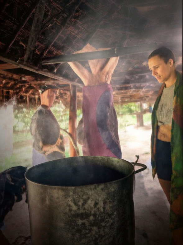 Introducción de 5 días a la ayahuasca y la medicina vegetal amazónica