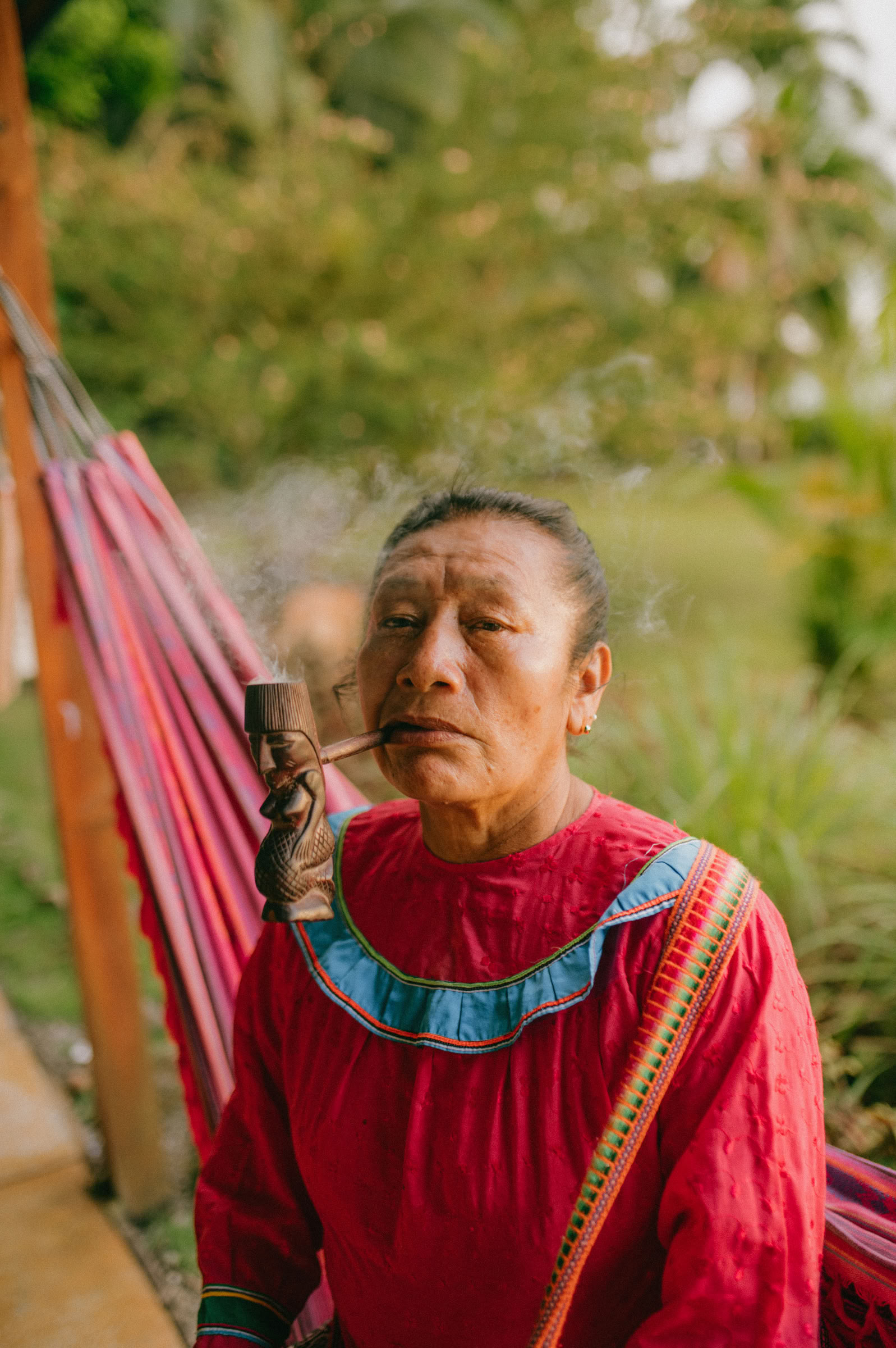 Talleres de Ayahuasca