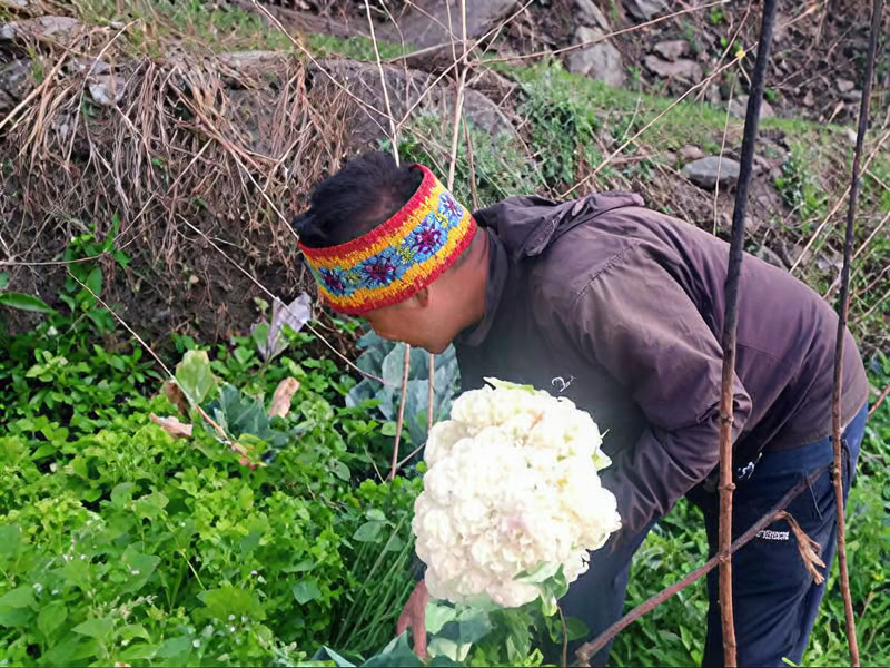 Taller de sanación con sonido de 50 horas - 6 días / 5 noches