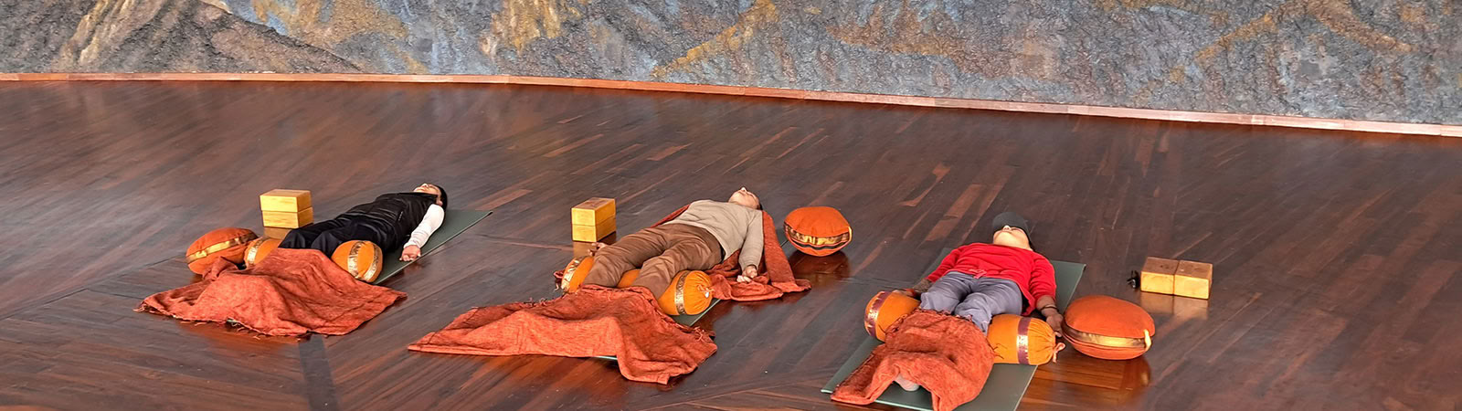 Programa de yoga para la vida