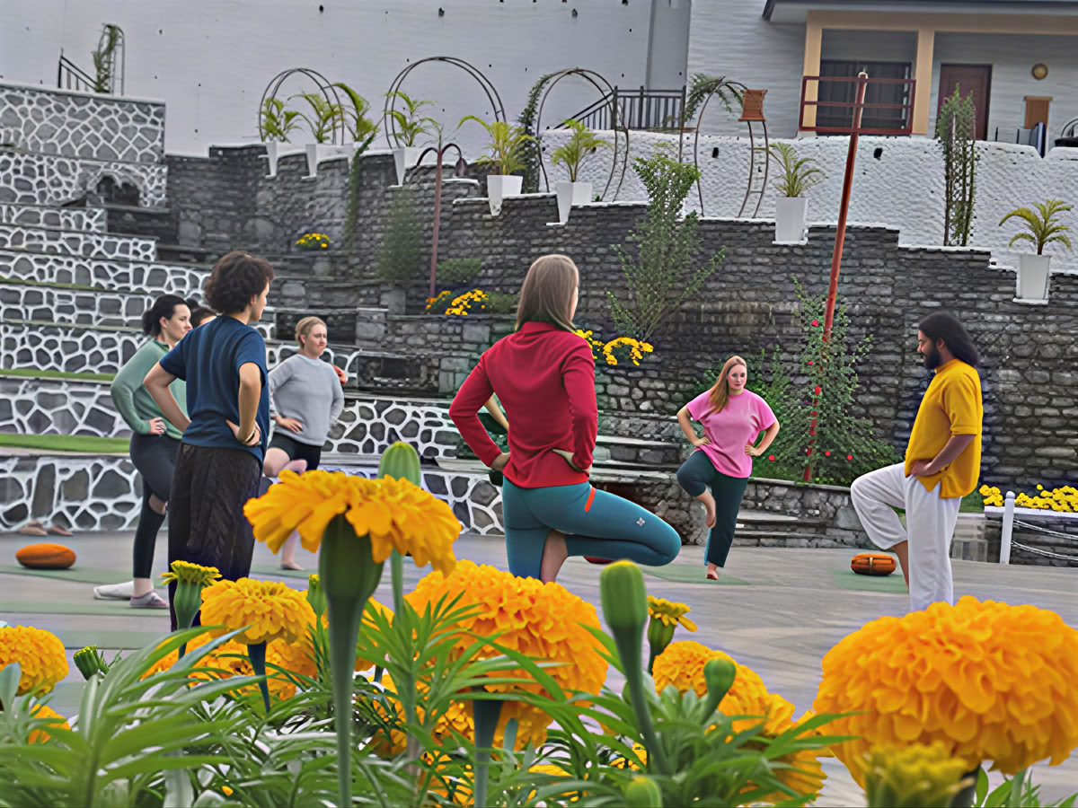 Programa de desintoxicación definitivo