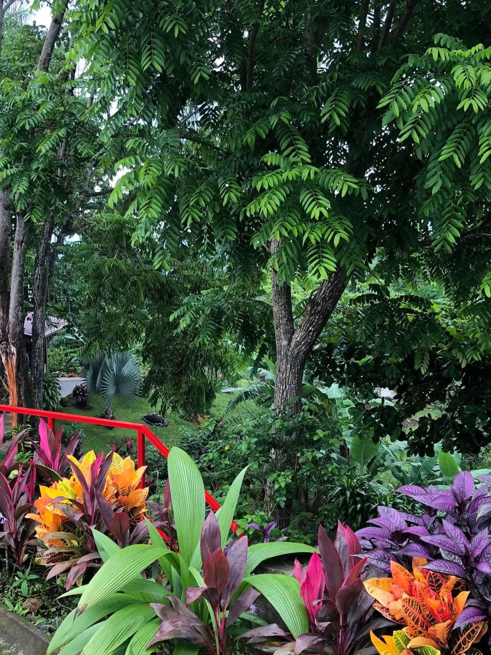 Retiro de Ceremonia con Plantas – Agosto de 2026
