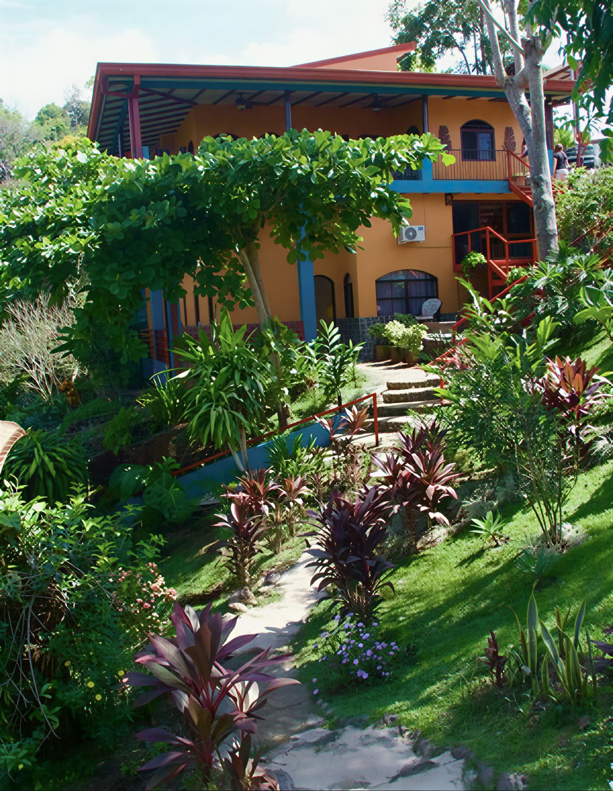 Retiro espiritual de ayahuasca en Costa Rica