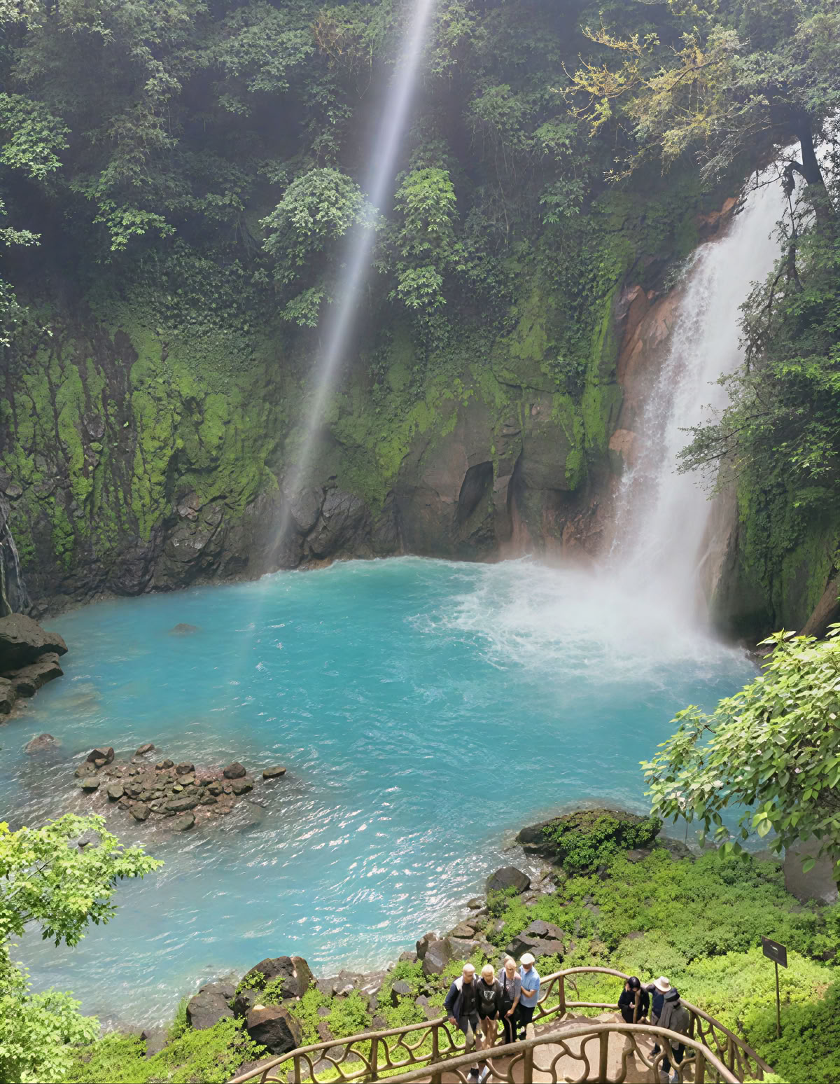 Retiro espiritual de ayahuasca en Costa Rica