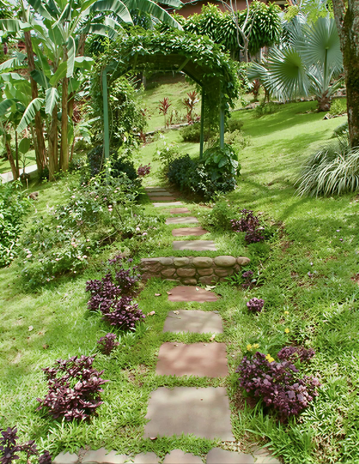 Retiro espiritual de ayahuasca en Costa Rica