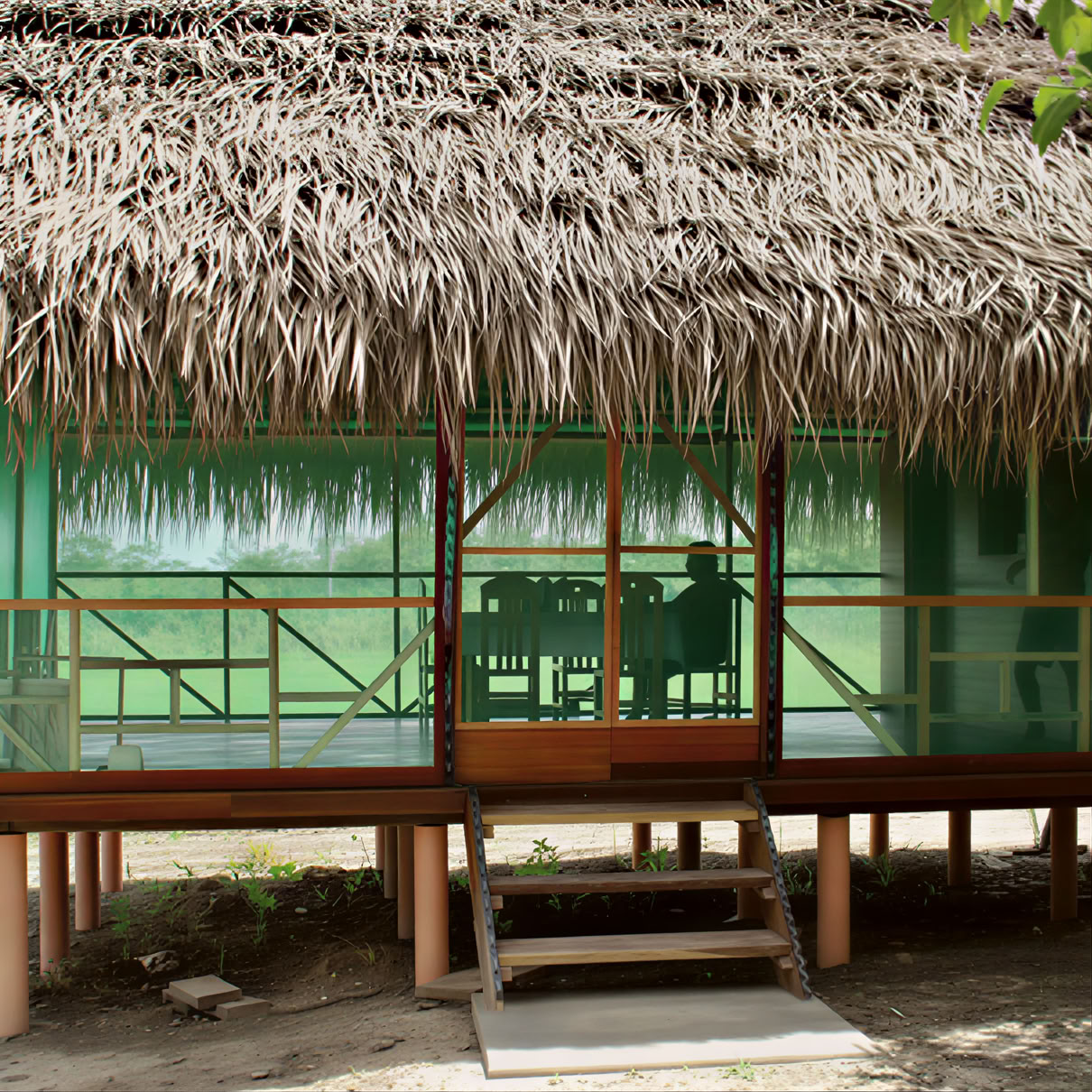 Retiro de Ayahuasca de 1 Semana en Perú