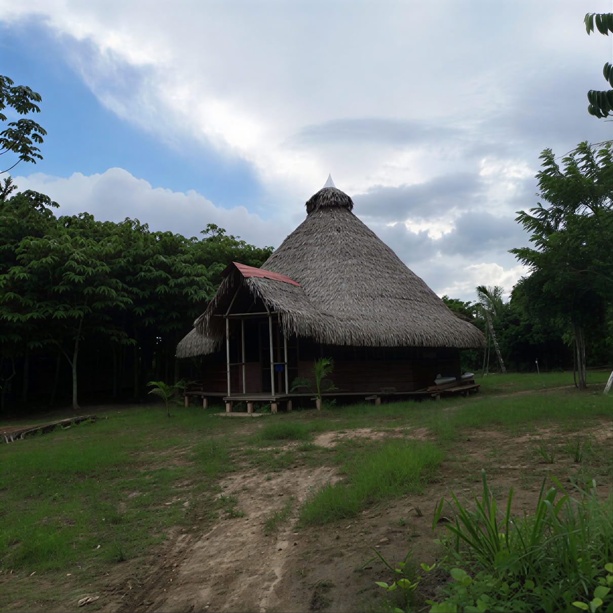 Retiro de ayahuasca de 3 semanas en Perú