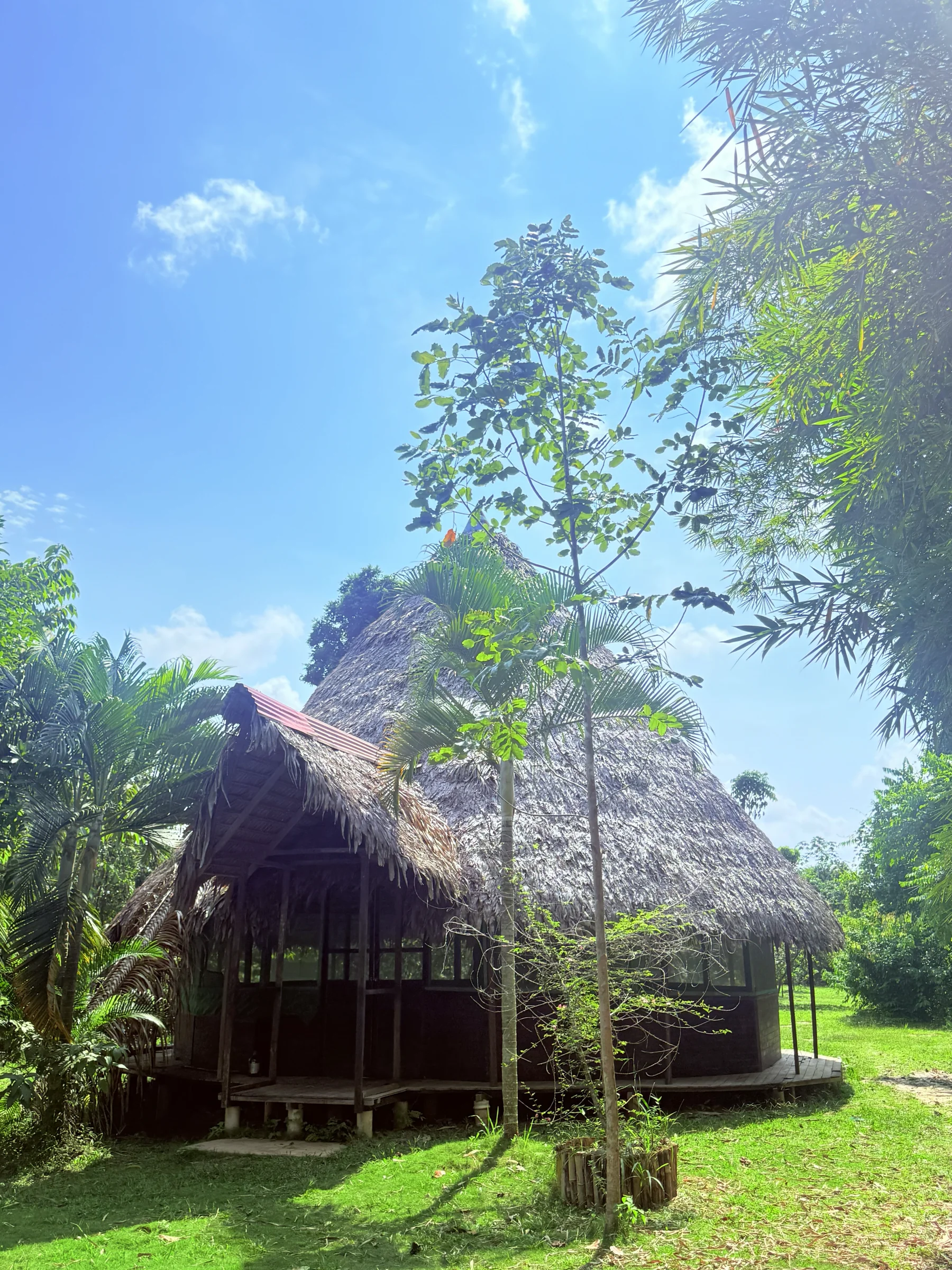 1 semana de transformación con ayahuasca