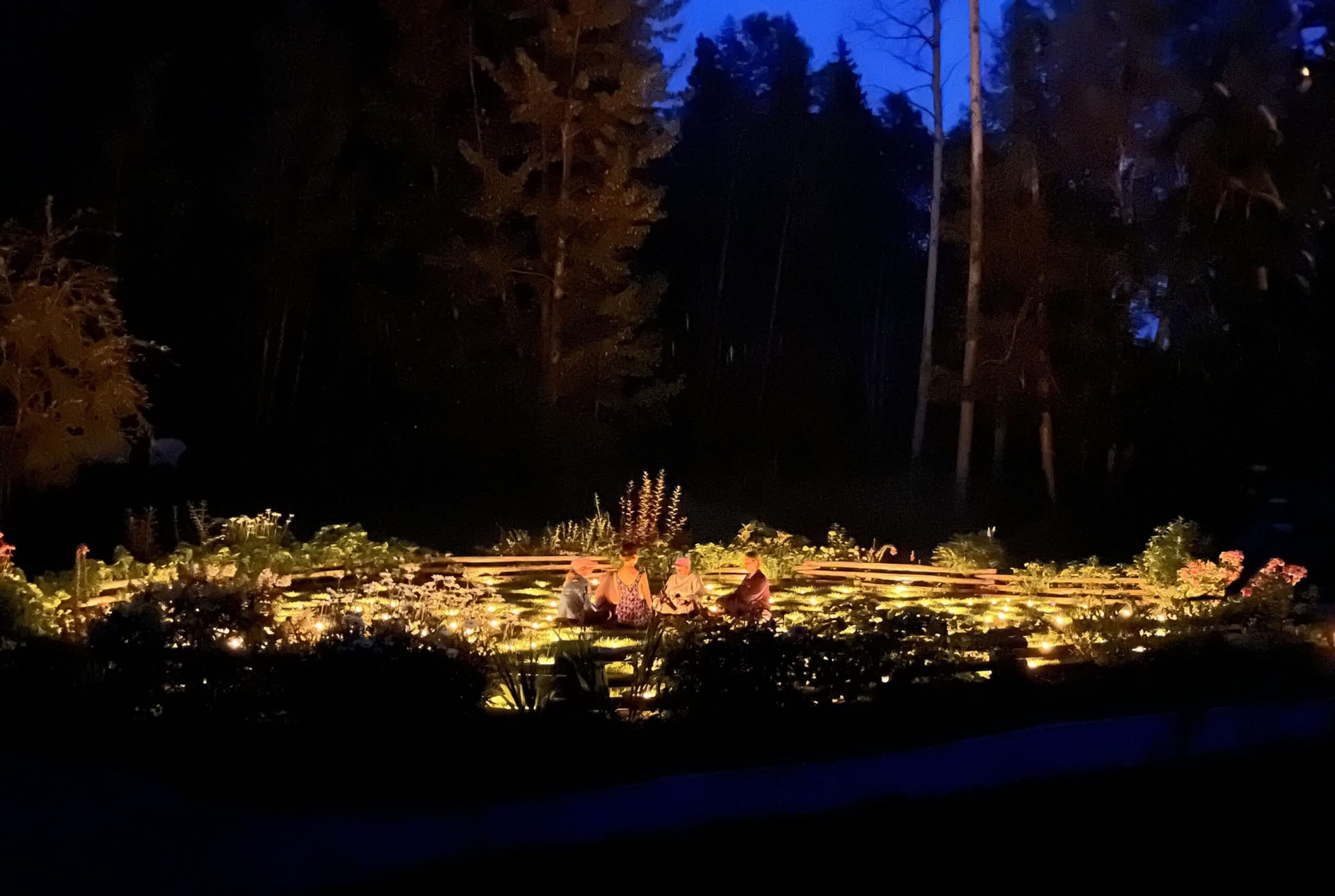 Despierto en la naturaleza