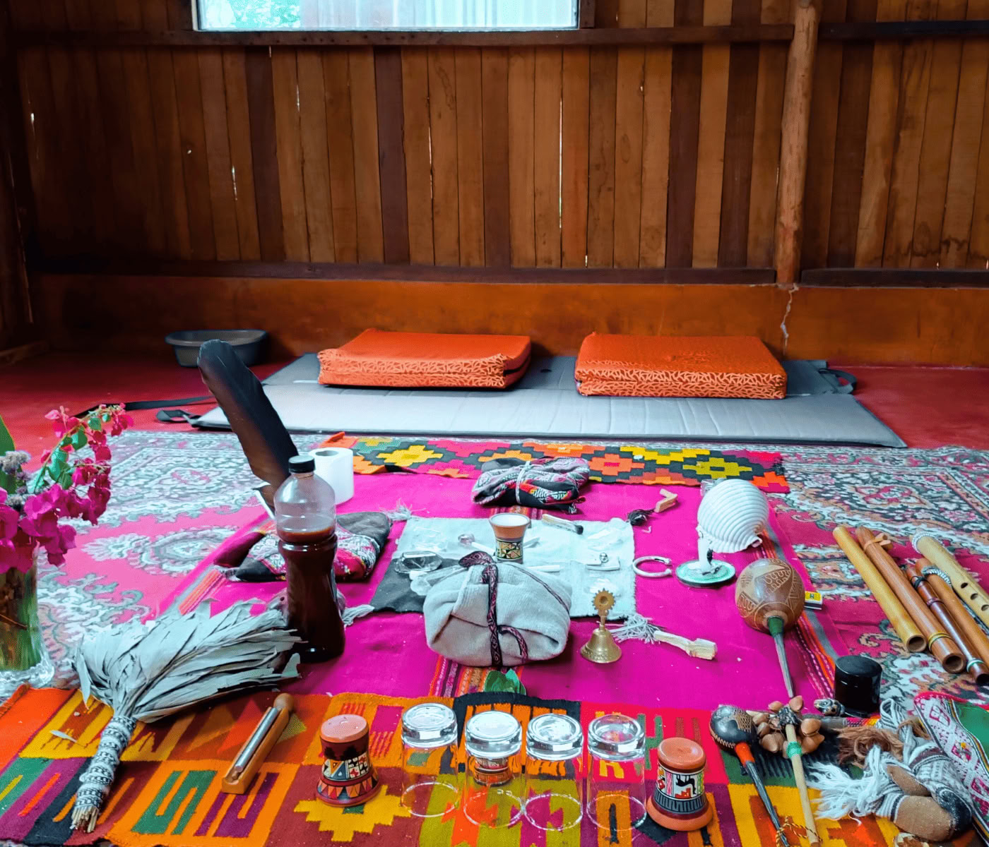 7 días de retiro de ayahuasca + Machupicchu
