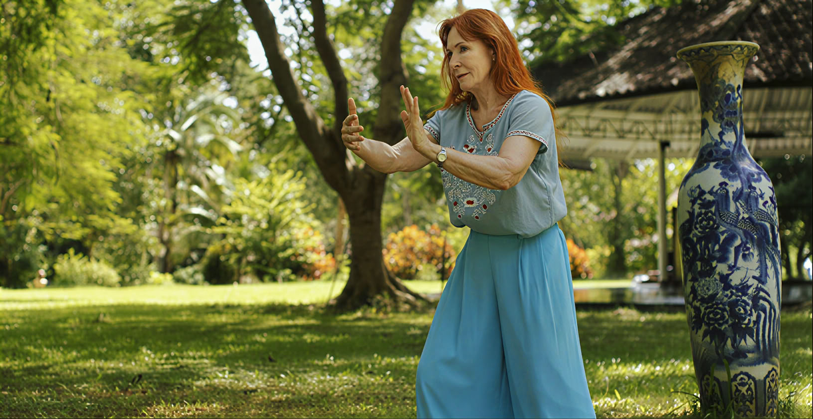 Serie de Qigong de la Alquimia Interior Tao Garden 2026