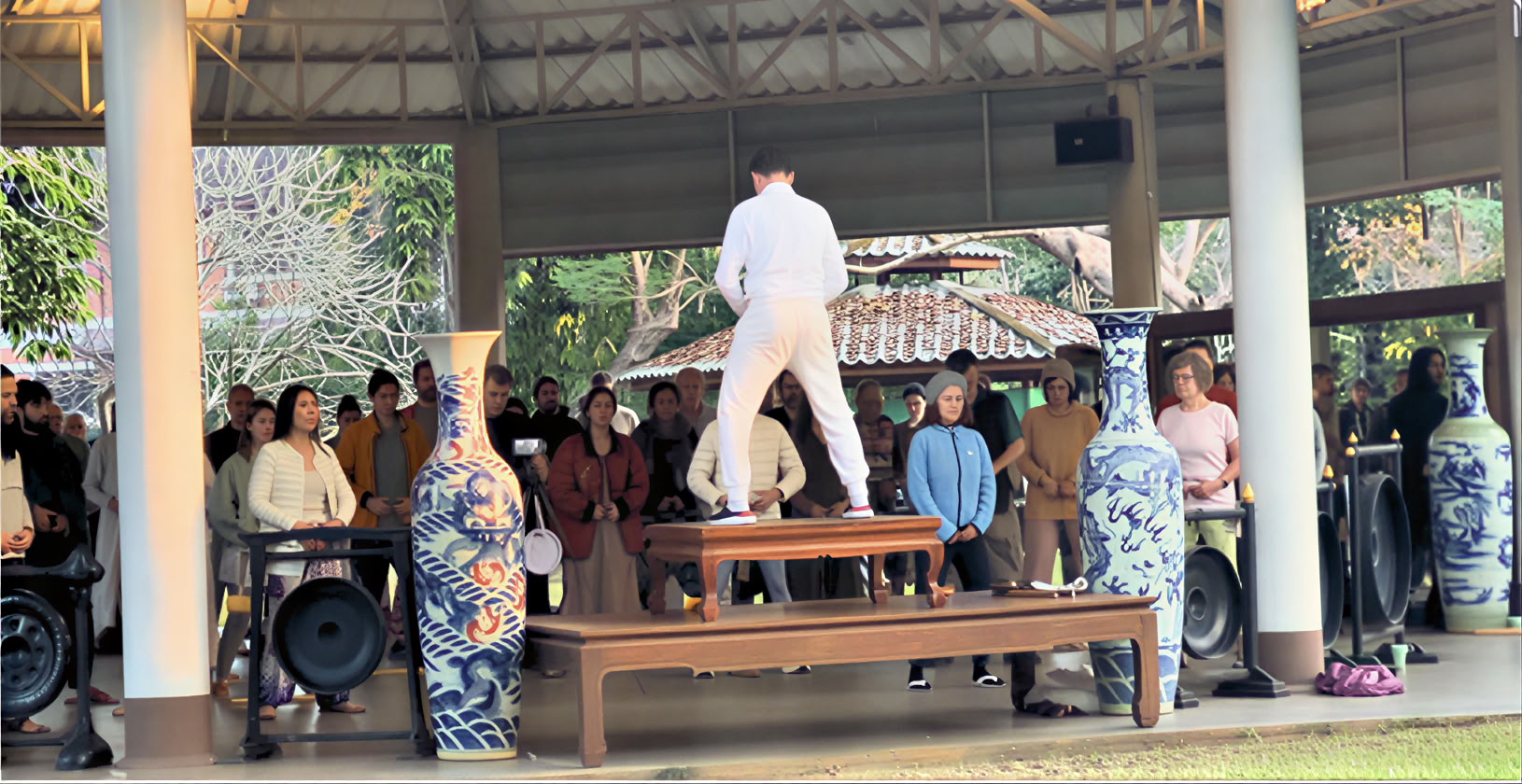 Serie de Qigong de la Alquimia Interior Tao Garden 2026