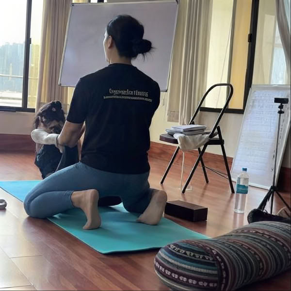 Retiro de yoga de 7 días