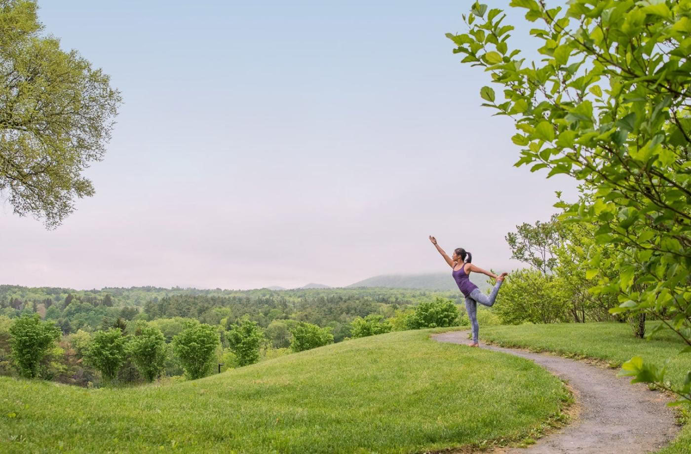 Formación de Profesores de Yoga Restaurativo