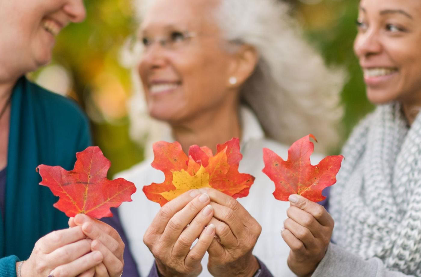 Certificación de Consejero de Salud en Ayurveda de 650 horas
