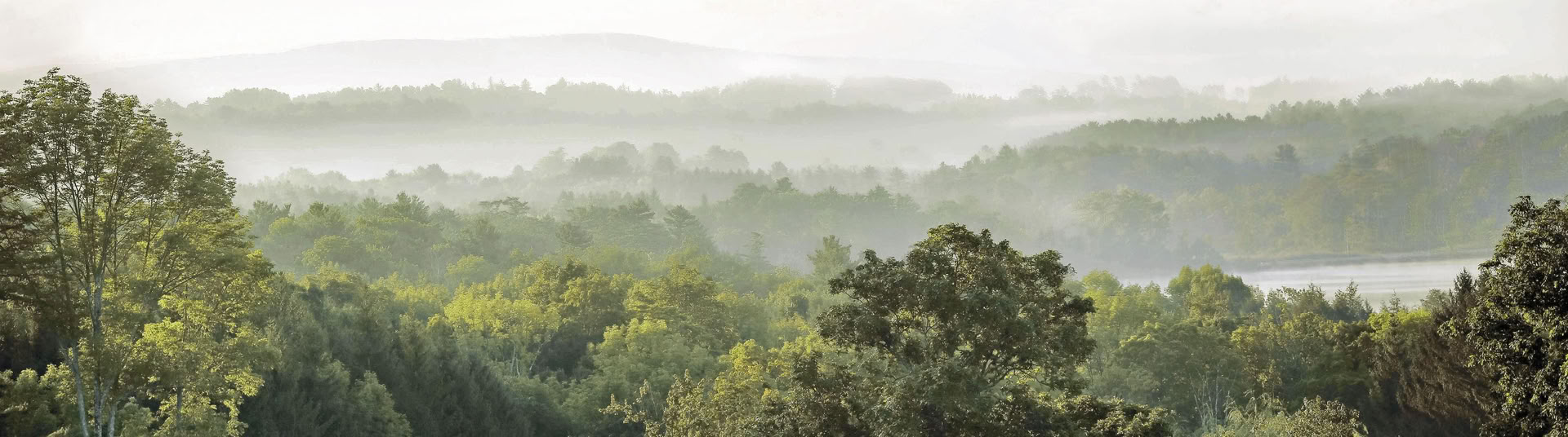 Certificación de guía consciente al aire libre, nivel 1, comunidad forestal