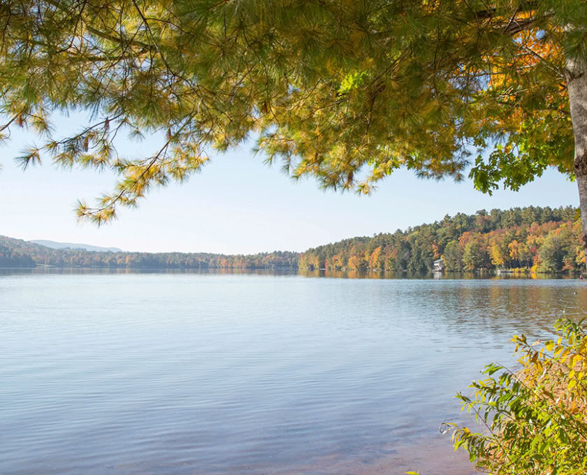 Certificación de Guía Consciente al Aire Libre, Nivel 2 Alineándose con la Naturaleza