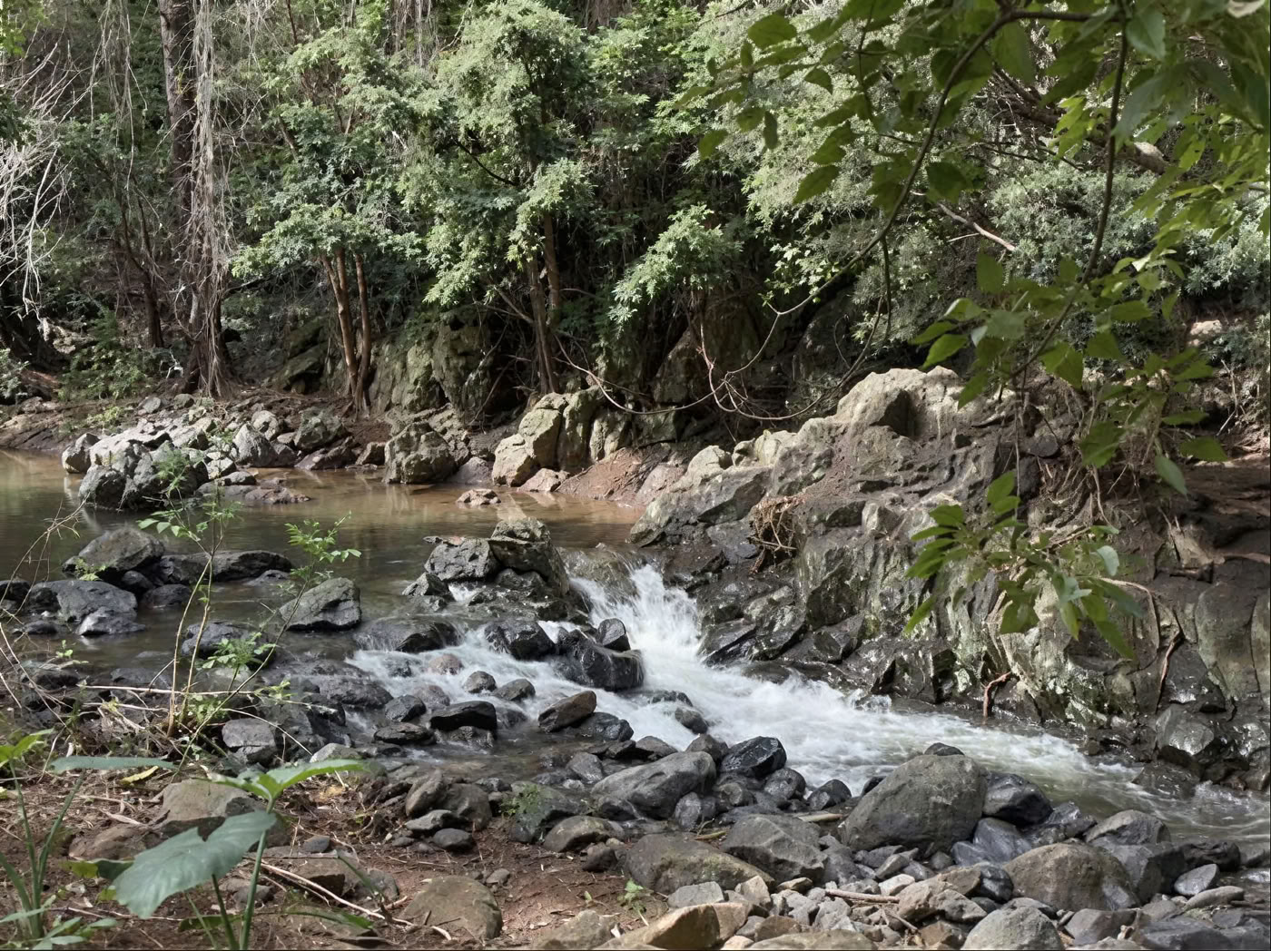 Recorrido por el vivero del jardín sagrado