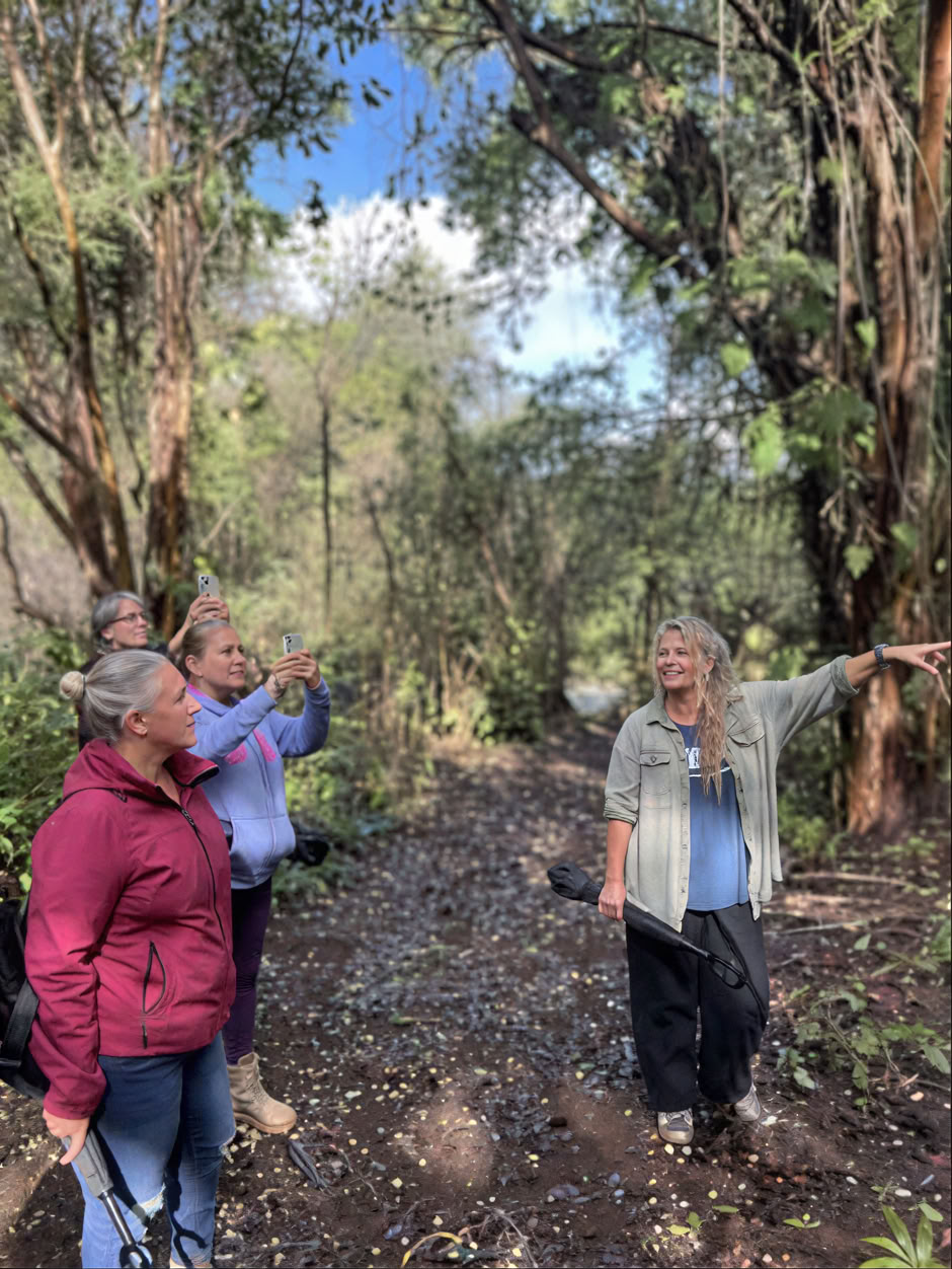 Recorrido por el vivero del jardín sagrado