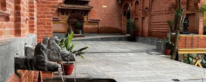 Tour de bienestar ayurvédico y espiritual de 5 noches y 6 días