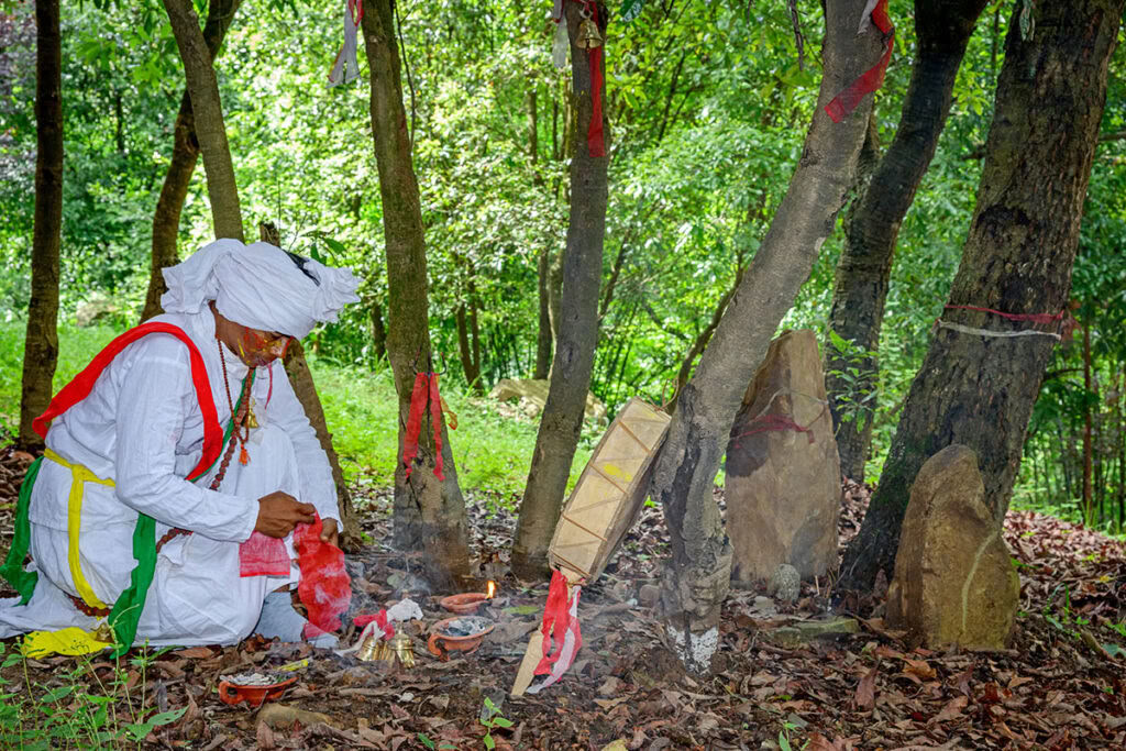 29 noches 30 días Retiro de sanación ancestral