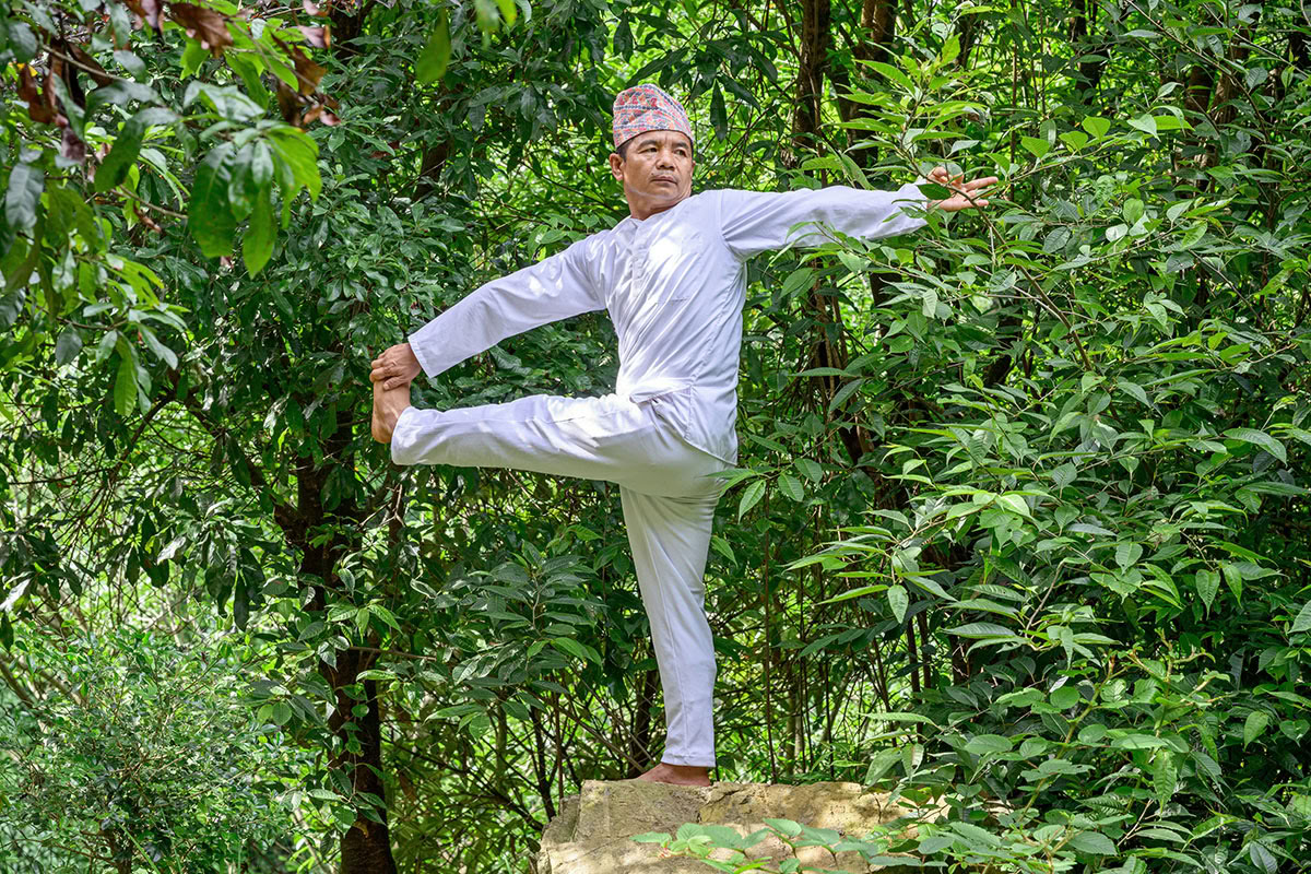 Curso de formación en terapia de yoga de 15 días