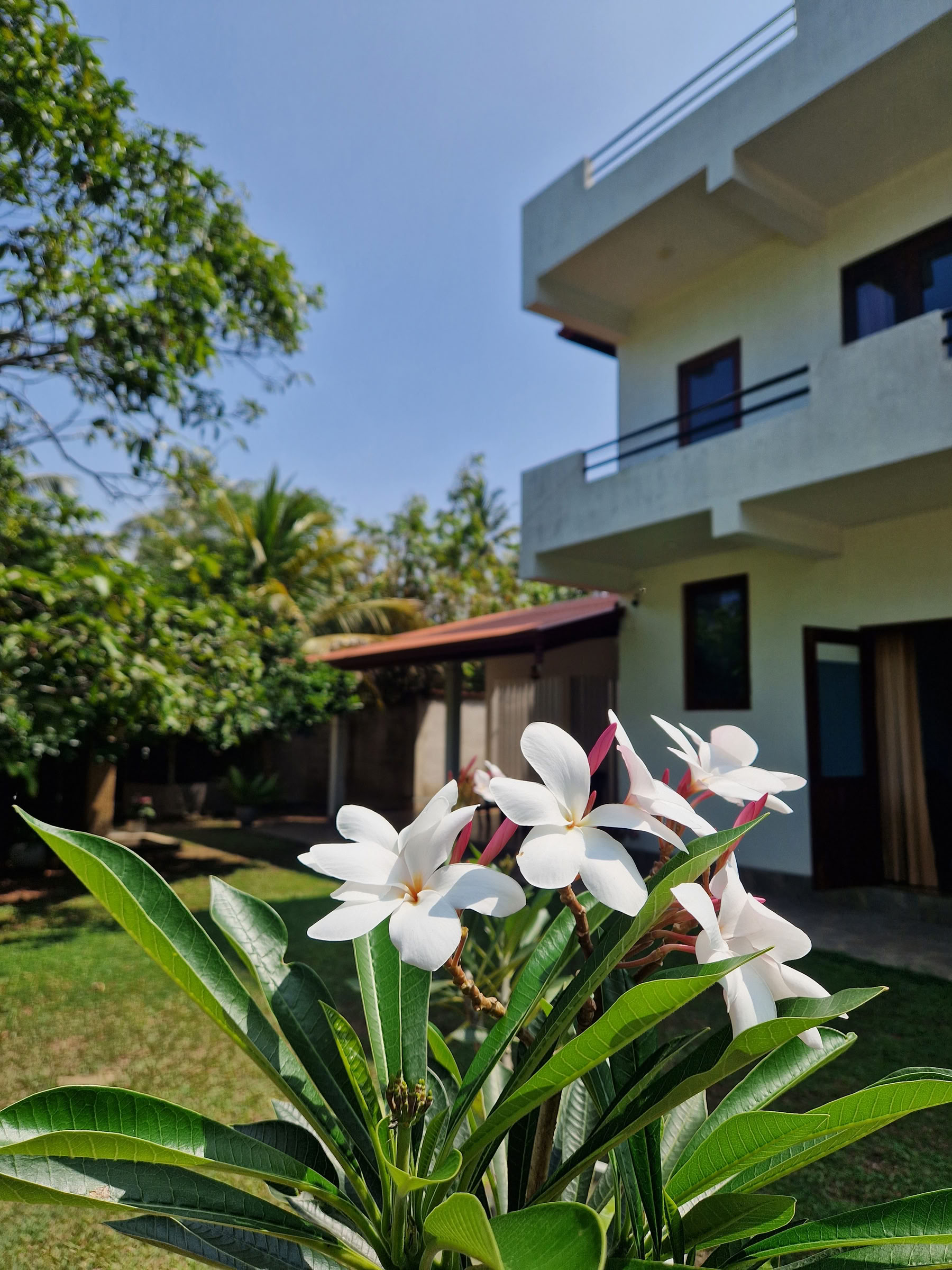 Retiro de 7 días para reiniciar el sistema nervioso, yoga y meditación, Sri Lanka