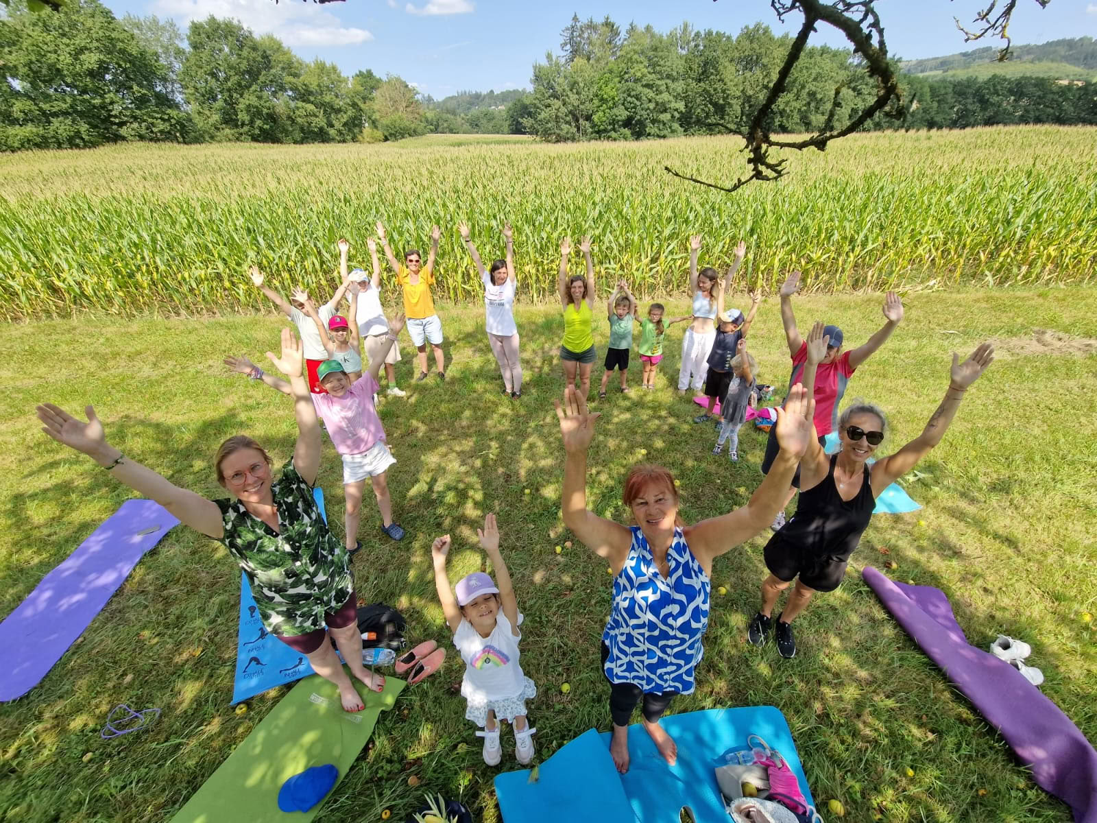 Programa de Karma Yoga