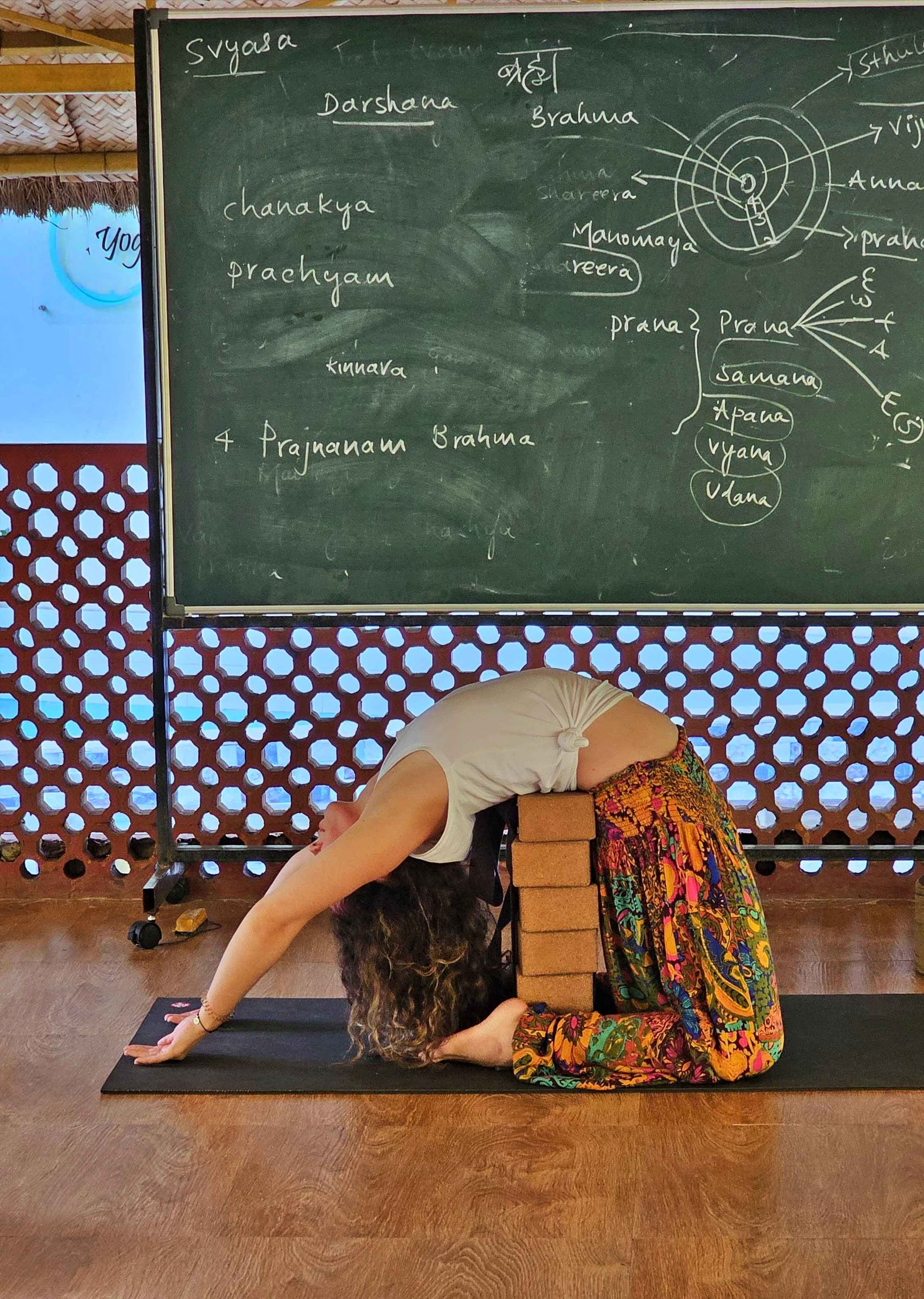 Formación Avanzada de Profesores de Yoga de 300 Horas - Agosto de 2026