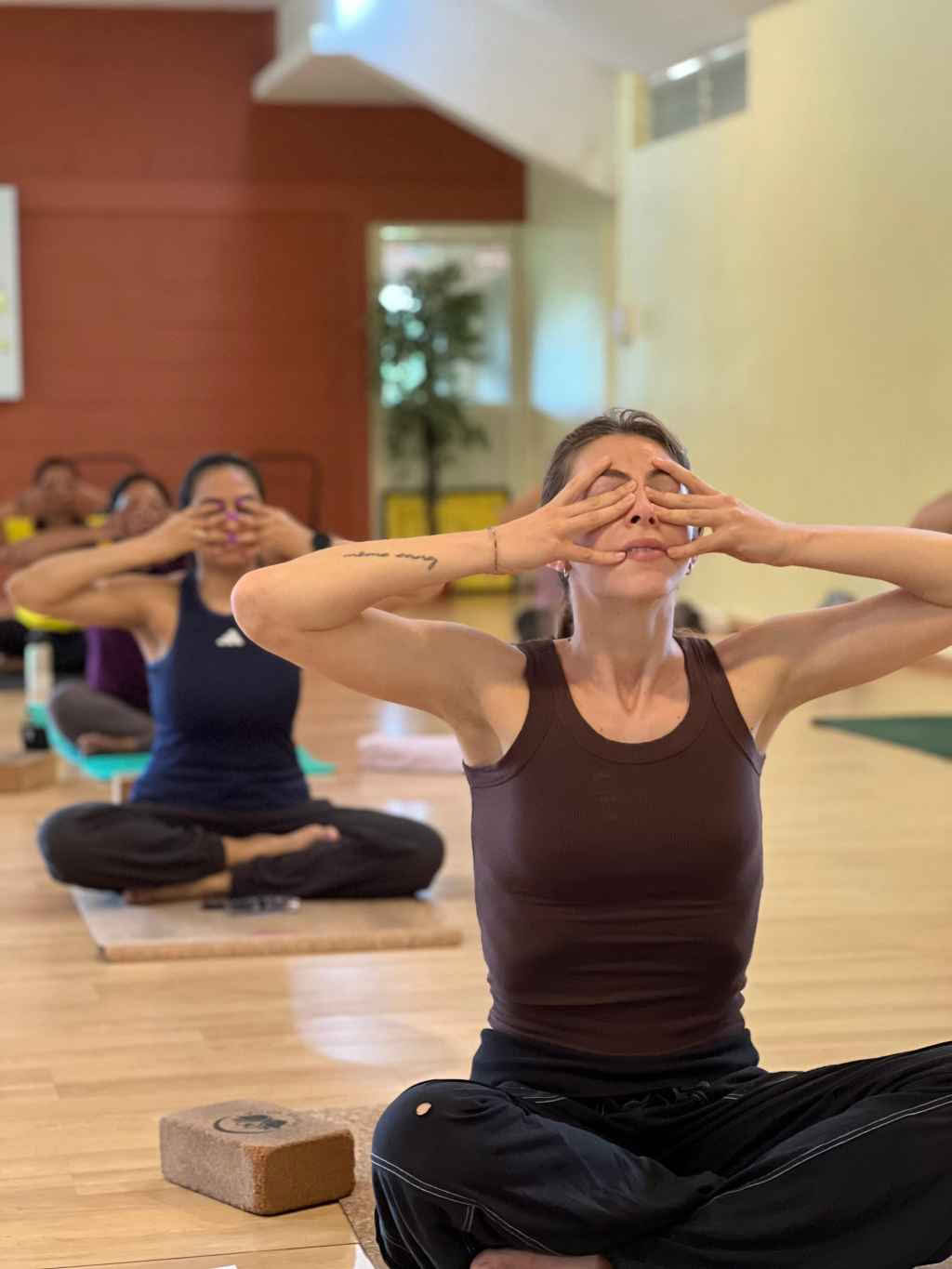 Formación avanzada de profesores de yoga de 300 horas - enero de 2027
