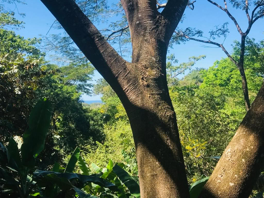 Relájate, Reinicia y Restaura en Costa Rica