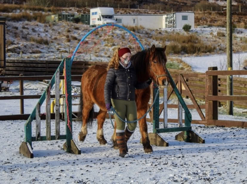 Coaching terapéutico asistido por caballos