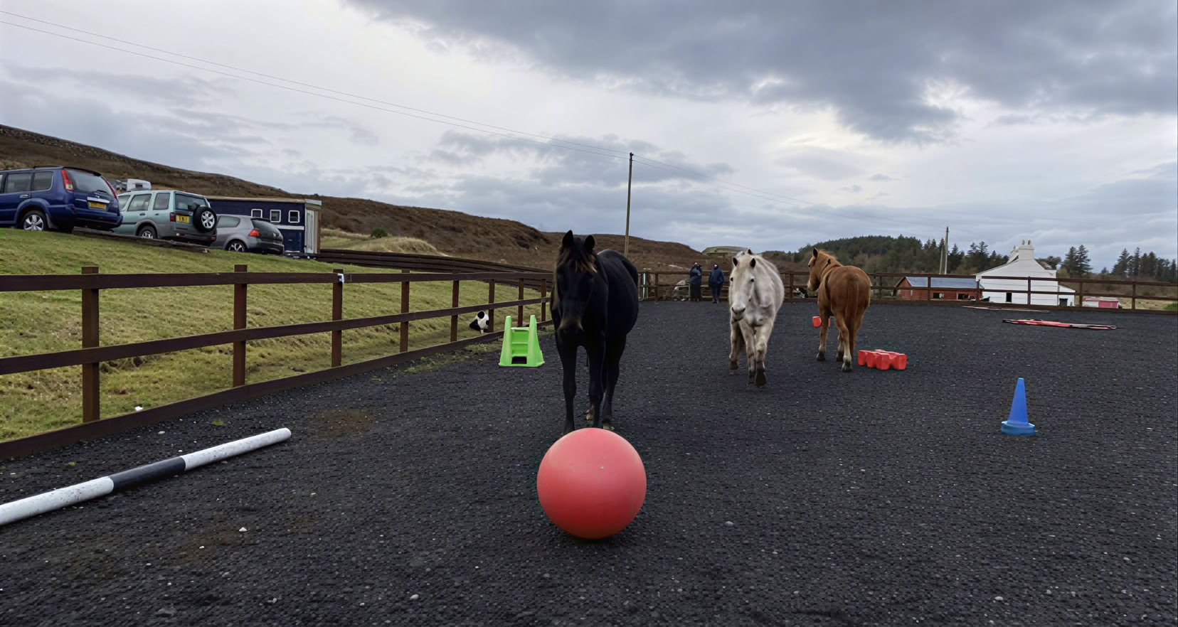 Coaching terapéutico asistido por caballos