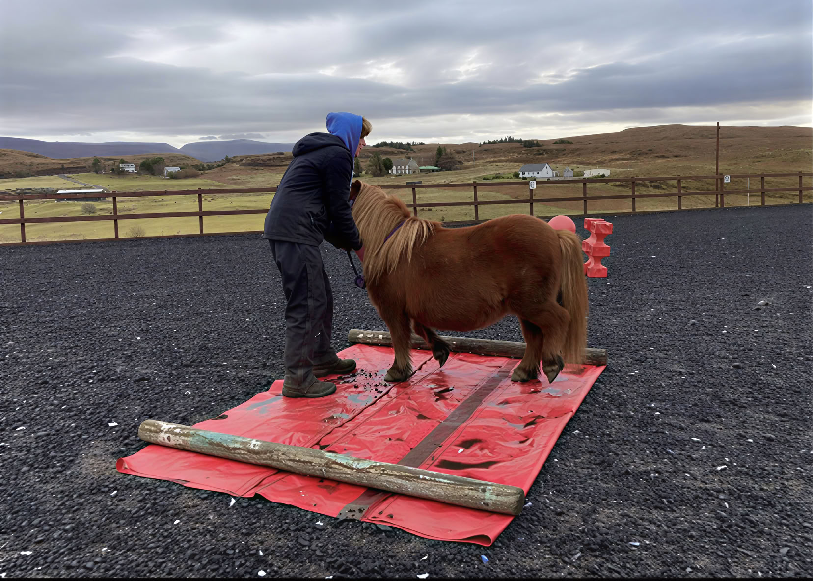 Coaching terapéutico asistido por caballos