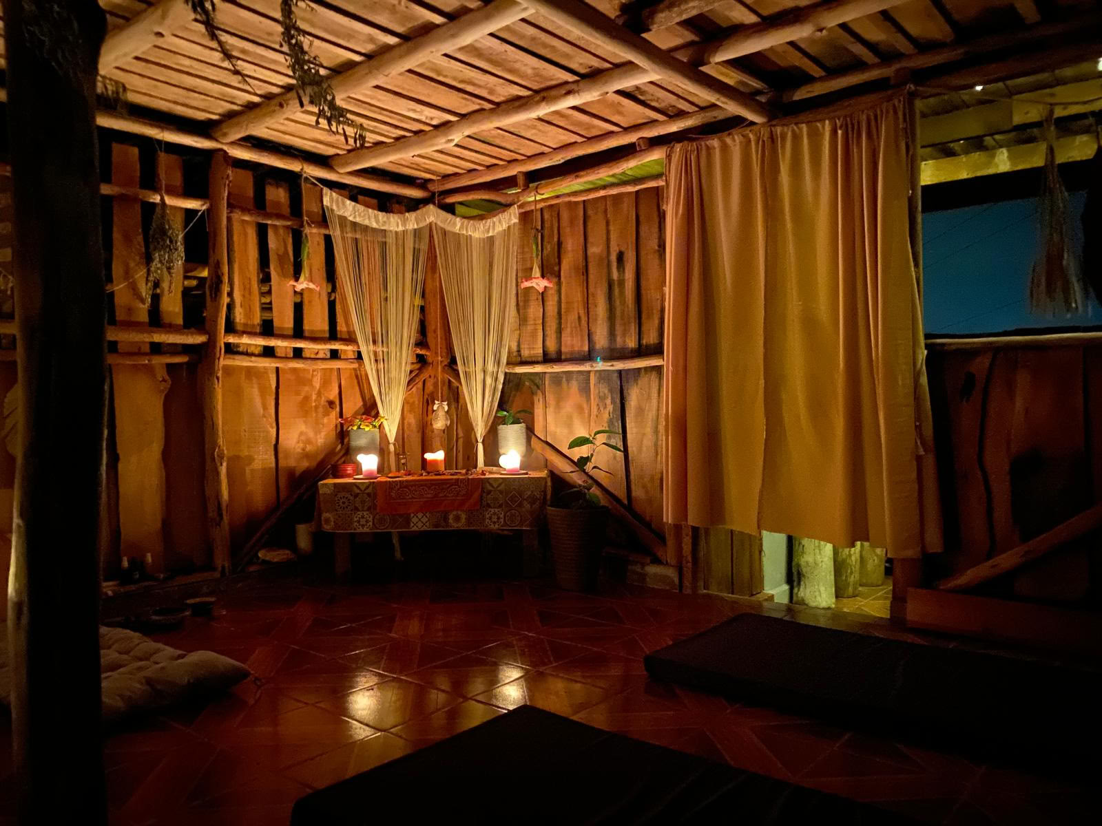 Ceremonia privada de psilocibina en Costa Rica