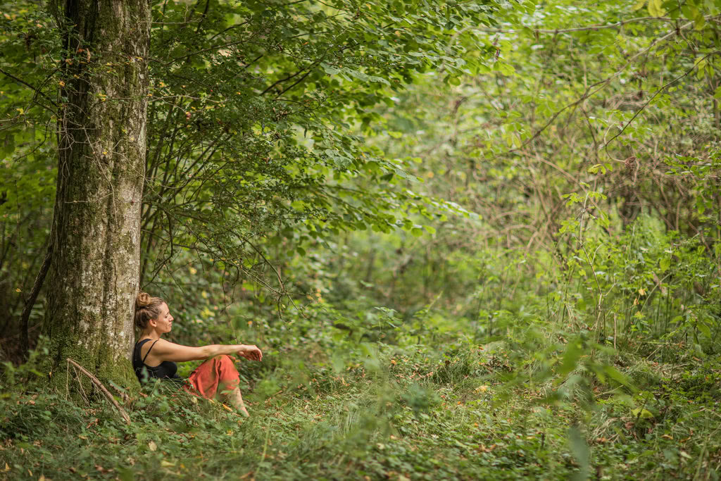 Días de Verano Salvaje – Pequeño Festival de Retiro