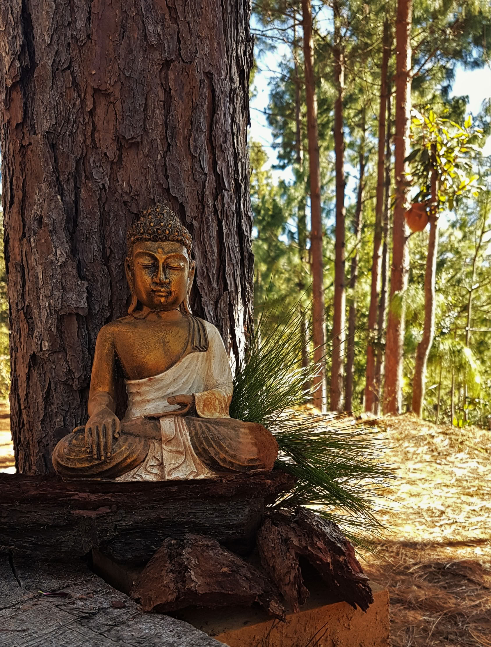Retiro de meditación silenciosa Hridaya de 10 días