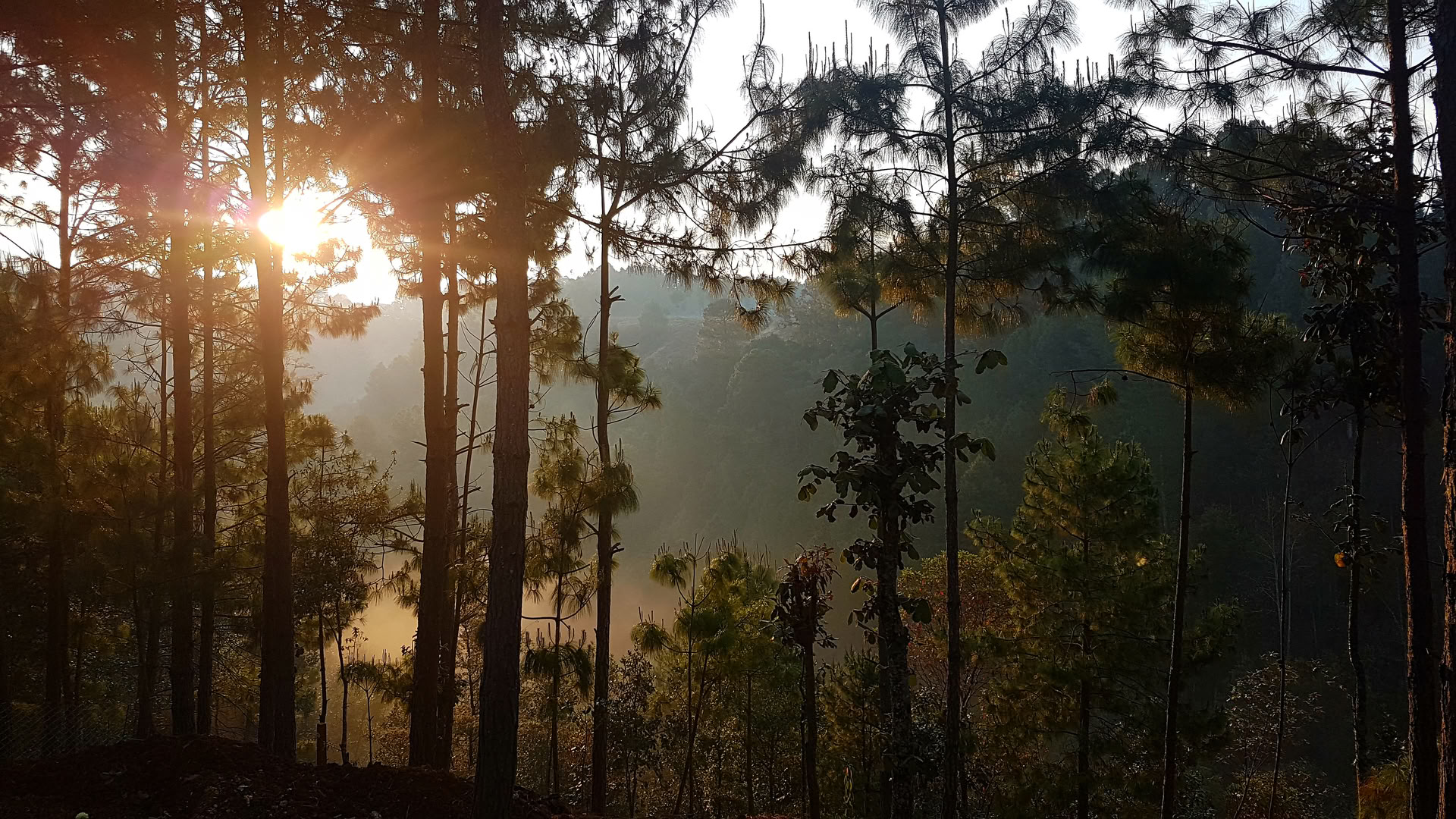 Retiro de Relación Consciente y Tantra
