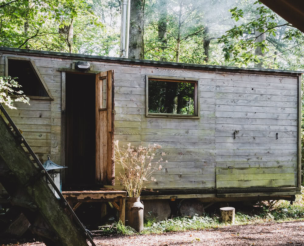 Sauna en el bosque