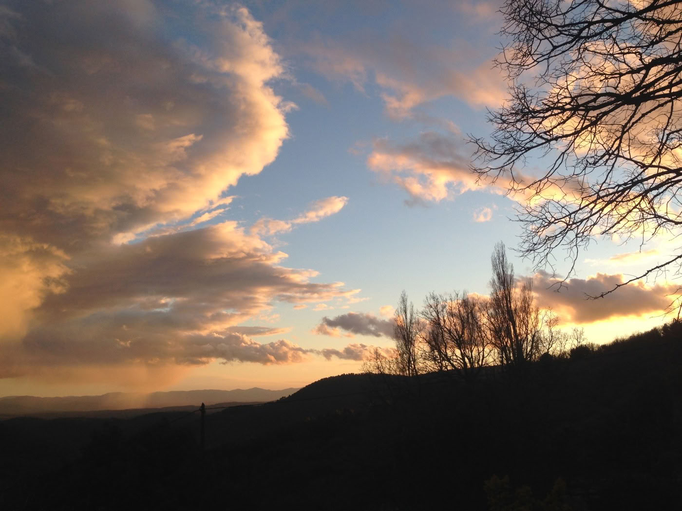 Programa de zumos detox
