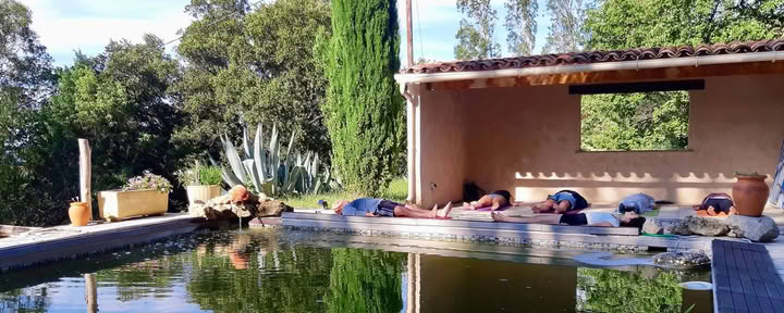 Programa de zumos detox