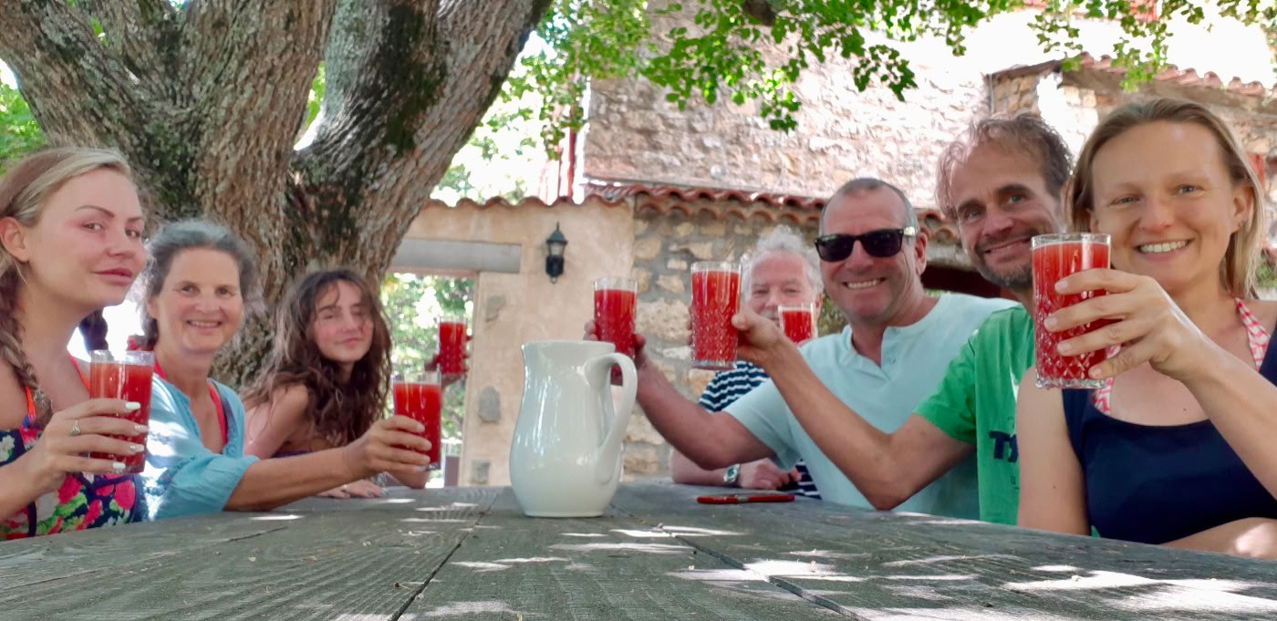 retiro de zumos detox